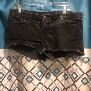 Harley-Davidson Shorts